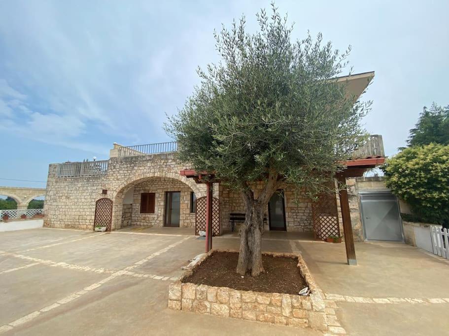 Villa Coco Monopoli Eksteriør bilde